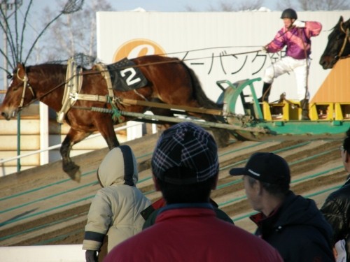 年の初めの運だめしは・・「ばんえい帯広競馬場」で・・？