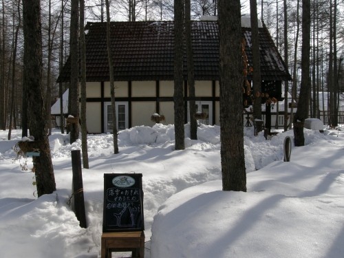 春、ちかい？屋根から雪が落ちました！