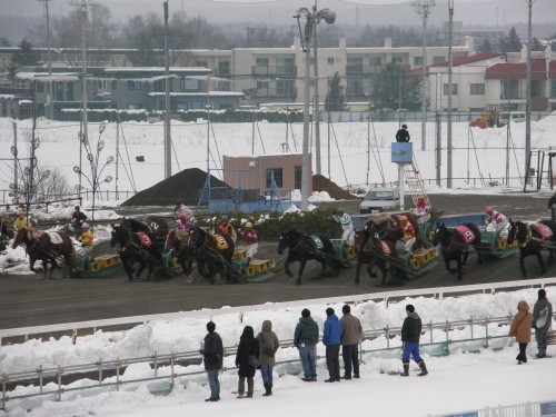 ばんえい帯広競馬場・・今年最後のレースにも行ってしまいました。