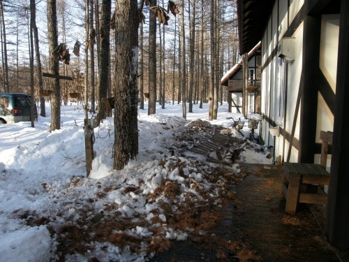 今日は暖かい一日・・今年もついに屋根の雪が落ちました。