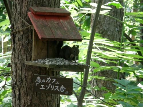 中札内村・エゾリス君の宿「カンタベリー」を拠点に十勝を満喫！