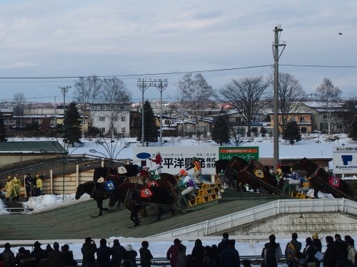 今年最初のビックレース「帯広記念」の観戦に”ばんえい帯広競馬場”へ