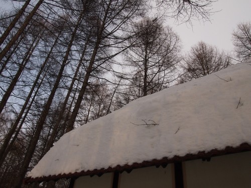 屋根に積もった雪・・今年はいつ落ちるのかな？