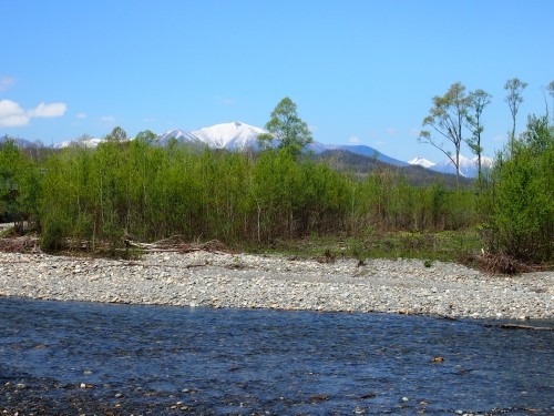 この季節の好きな風景～新緑の清流札内川と残雪の日高山脈～