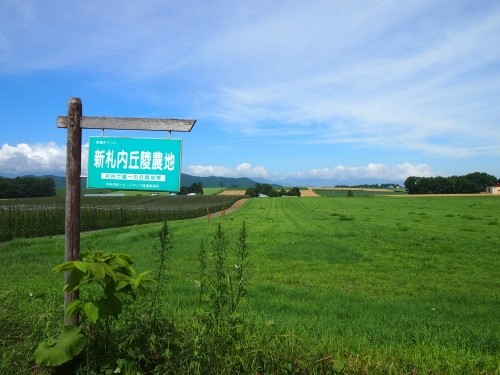 新札内丘陵農地～中札内村～夏の彩りの風景