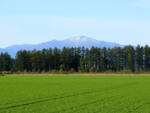 中札内村から見る日高山脈・・標高の高い山々がうっすら雪化粧