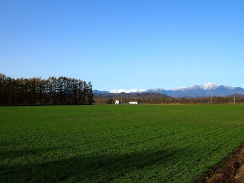 私の好きな・・「中札内村・１１月の農村風景」