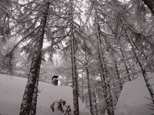 今年は雪が多いかな？昨夜から３０センチ以上の積雪です。