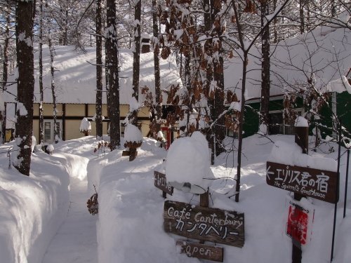 昨日から大雪の中札内村。看板は埋もれ‥通路は雪の壁‥