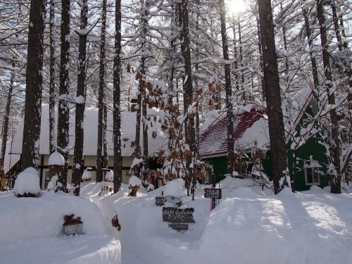 昨日の大雪から‥一夜明けると雪の山