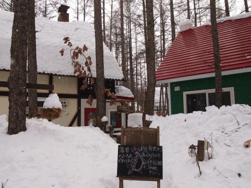 そろそろ春を告げる「屋根からの落雪」がありそうです！