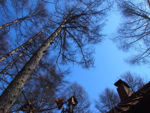 まだまだ雪が残る宿のまわり・・・快晴の新年度４月１日。