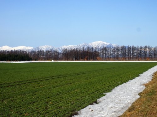 ４月、雪どけ進む・・中札内村の農村風景