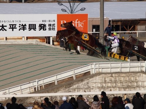 「十勝神社」に初詣ののち、午年の「ばんえい競馬」帯広記念