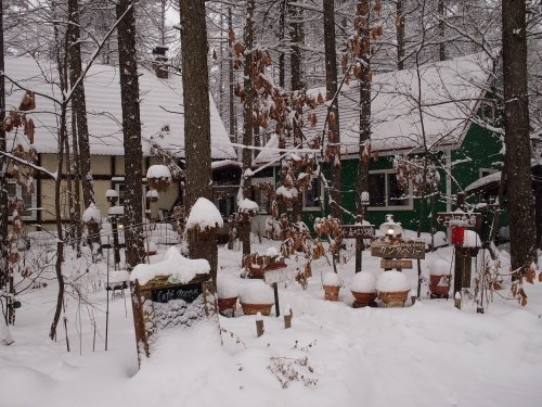 雪の少ない今年の中札内村・・初めてのまとまった積雪になりました。