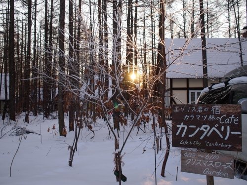 今日はカンタベリーの木々にも”霧氷”が着きました。