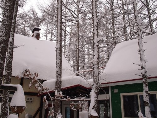 今年は雪が少ない？と思ってたら・・先週に引き続き大雪！