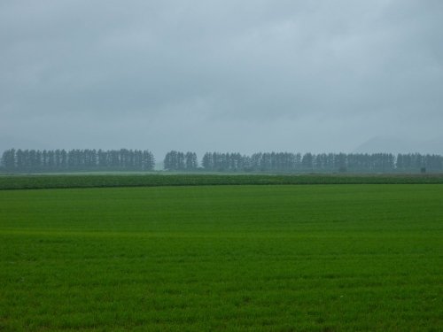 雨の１日ですが・・「中札内村農村風景」と「六花の森」