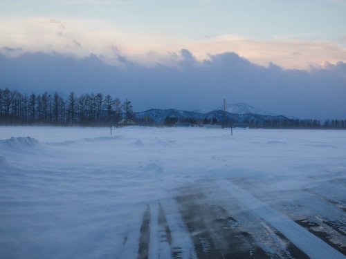 風の強い一日・・地吹雪で道路が消えてしまってます。