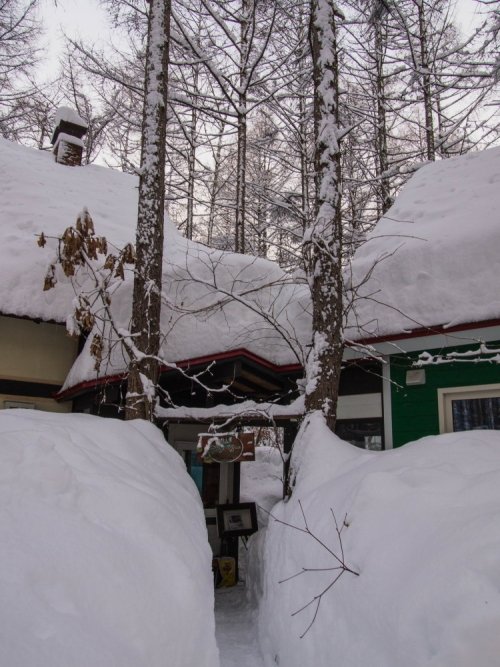 中札内村に来て８年・・いままで最高の積雪量になってます。