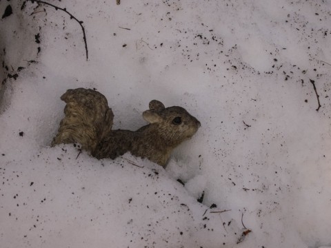 雪に埋もれ行方不明になっていた”看板エゾリス君”が出てきました。