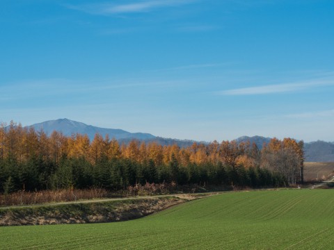 晩秋の彩り・・11月の中札内村農村風景