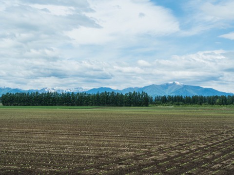 残雪の日高山脈と6月新緑の農村風景