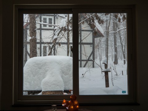 昼間の激しい吹雪・・今年は本当に雪が多いですね!