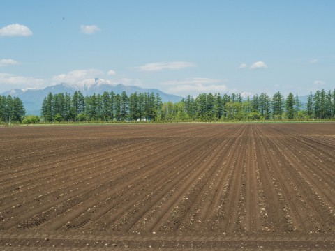 「日高山脈と畝の農村風景」じゃらん6月号に写真が載りました!