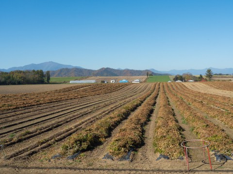 十勝晴れの中札内村・・何気ない秋の農村風景!