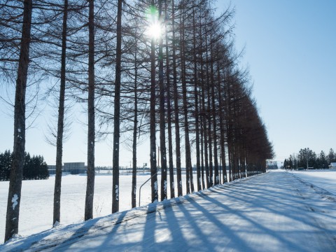 冬の十勝らしい快晴の農村風景と日高山脈の眺望!