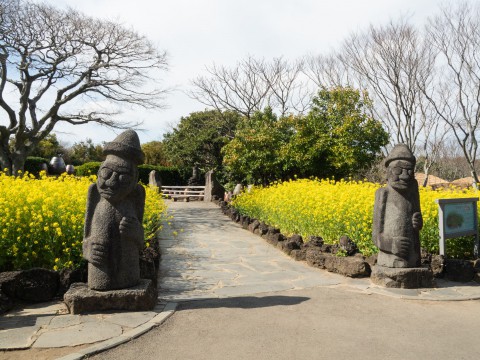 2020年3月コロナ禍直前の海外旅行・済州島(韓国)vol.4