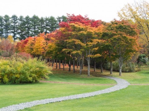 紅葉中の「六花亭アートビレッジ」と「六花の森」今年の営業最終日。