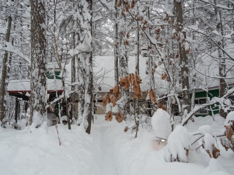 この冬は雪が少ないと思ったら、やっぱり来た約1mのドカ雪!