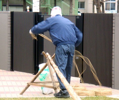 十勝の冬囲い～雪吊り編