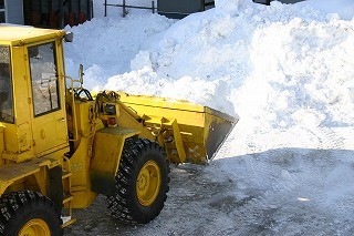 園芸店の「排雪」