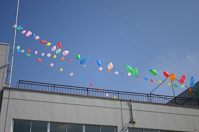 リーズナブルでお庭を飾ろう！