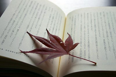 読書の秋