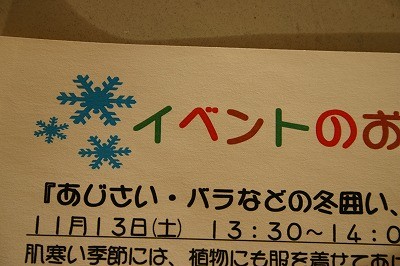 あじさい・バラの冬囲い、消毒の講習会のご案内