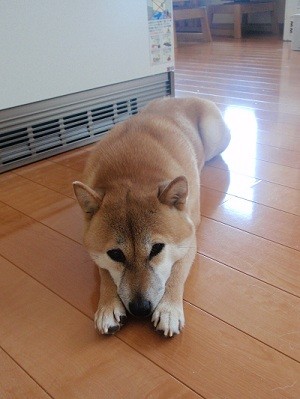 気ままな一日