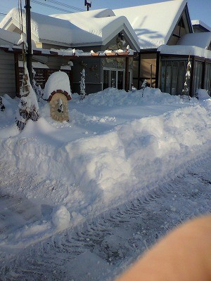 やっぱり降りました大雪！