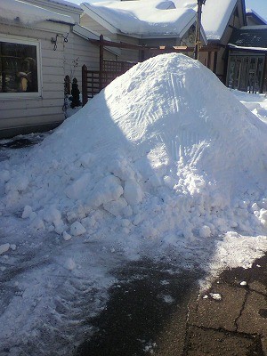 さて、この雪山は何になるのでしょう？