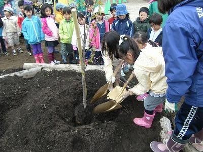 かわいい職人さん