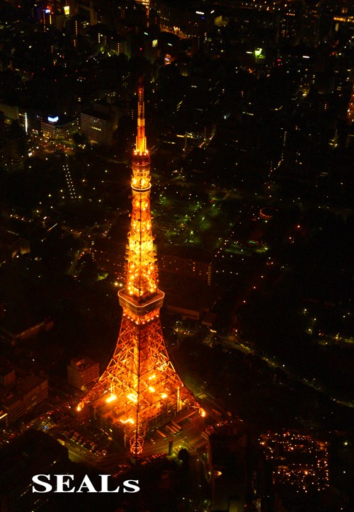 東京夜景クルーズ