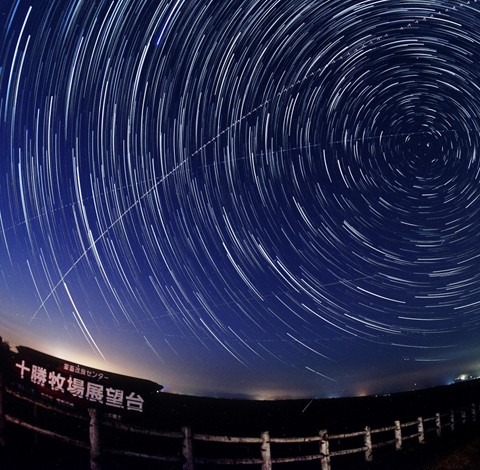 星空(過去画)と　バードハウス発見 09/20