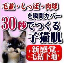 今年も1年お付き合いありがとうございました。