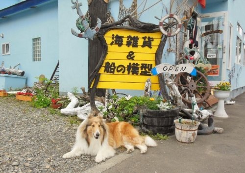 お店の看板リニューアルしました！