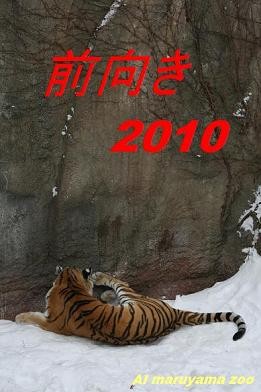 2010 Tiger