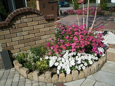 庭の植物　花と菜園