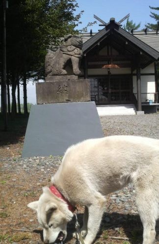 どんぐりフィールドの神社